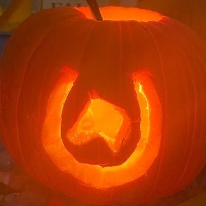 Meet your Posher, Maddie